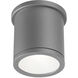 Tube LED 5 inch Graphite Outdoor Flush