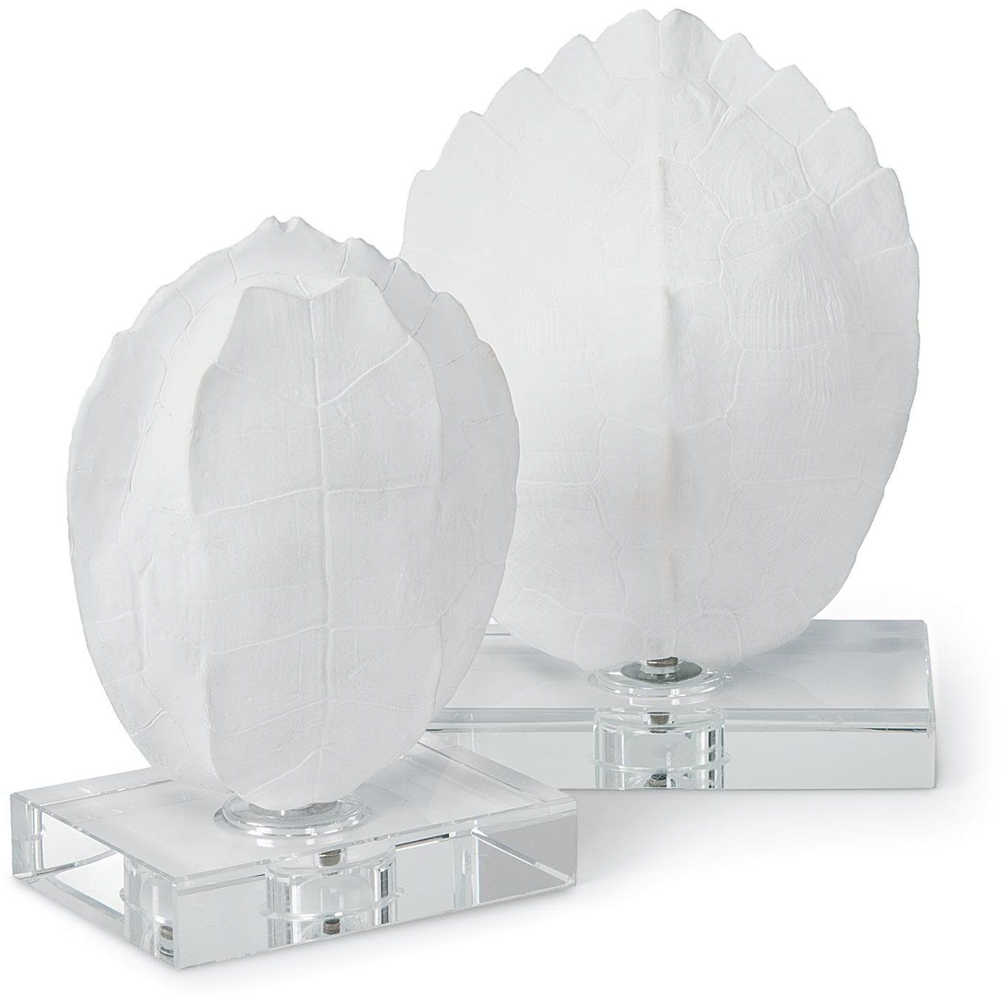 Turle Shells Natural Objet, On Crystal