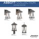 Abbott 1 Light 20 inch Antique Pewter Outdoor Wall Lantern, Large