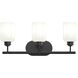 Reines 3 Light 22.75 inch Matte Black Bath Vanity Wall Light