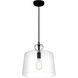Clarity 1 Light 13 inch Coal Mini Pendant Ceiling Light