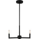 Fullton 3 Light 10 inch Midnight Black Chandelier Ceiling Light