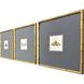Pastel Moths Green and Blue and Multi and Pink Framed Art