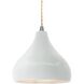Radiance 1 Light 8 inch Gloss White and Brushed Nickel Pendant Ceiling Light