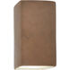 Ambiance Wall Sconce Wall Light in Terra Cotta, Incandescent, Large