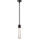 Zigrina 1 Light 5.13 inch Satin Brushed Black Pendant Ceiling Light