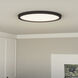 Outskirts 20 inch Earth Black Flush Mount Ceiling Light