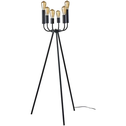 Rory 55 inch 240.00 watt Black Floor Lamp Portable Light