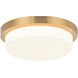 Durham LED 15.75 inch Aged Gold Brass Ceiling Mount Ceiling Light