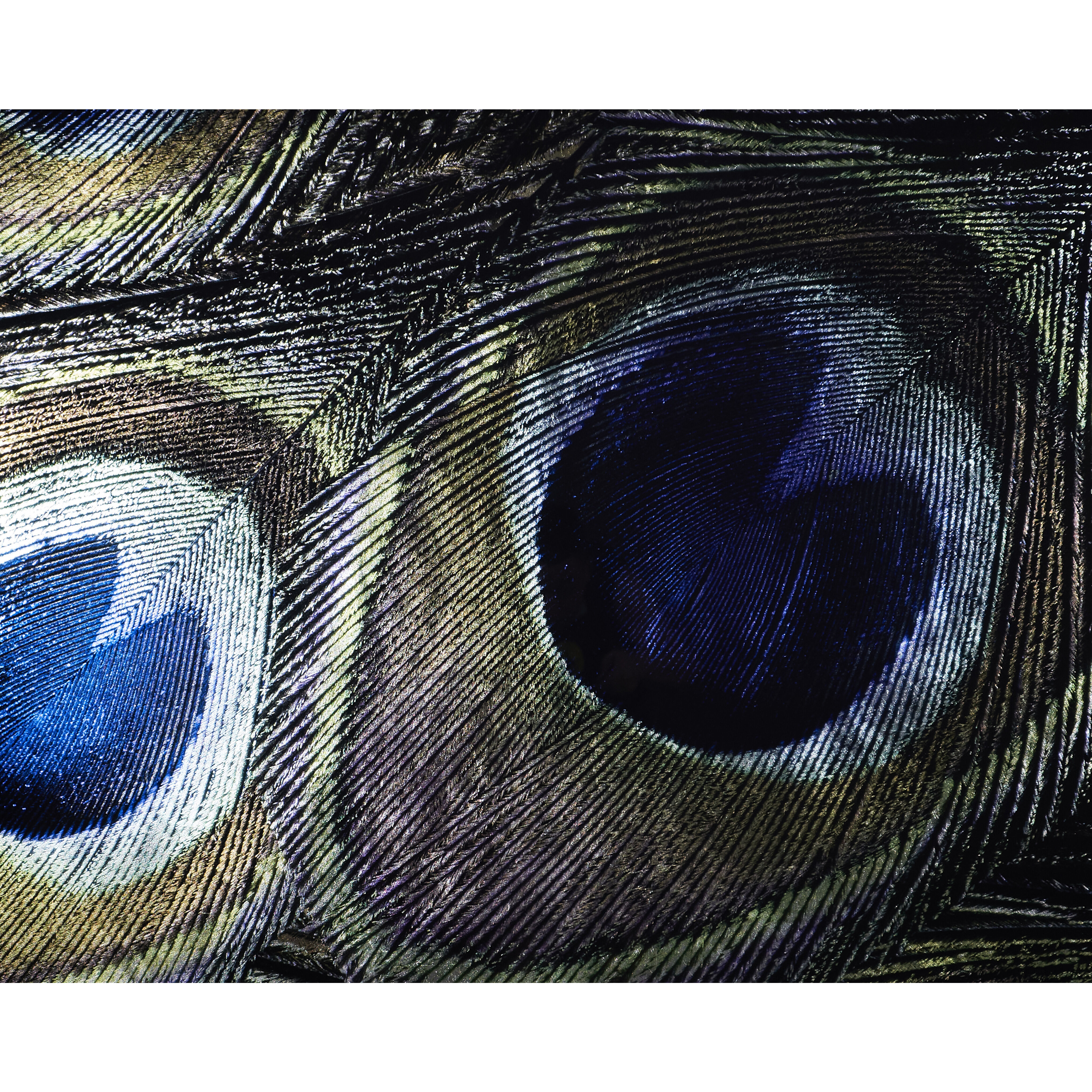 Treasure Charcoal Luxe Art