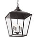 Homestead Dame 4 Light 19 inch Anvil Iron Foyer Pendant Ceiling Light, Dame