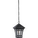 Herrington 1 Light 7.25 inch Black Outdoor Pendant