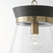 Finn 1 Light 12 inch Black Stain and Matte Brass Pendant Ceiling Light