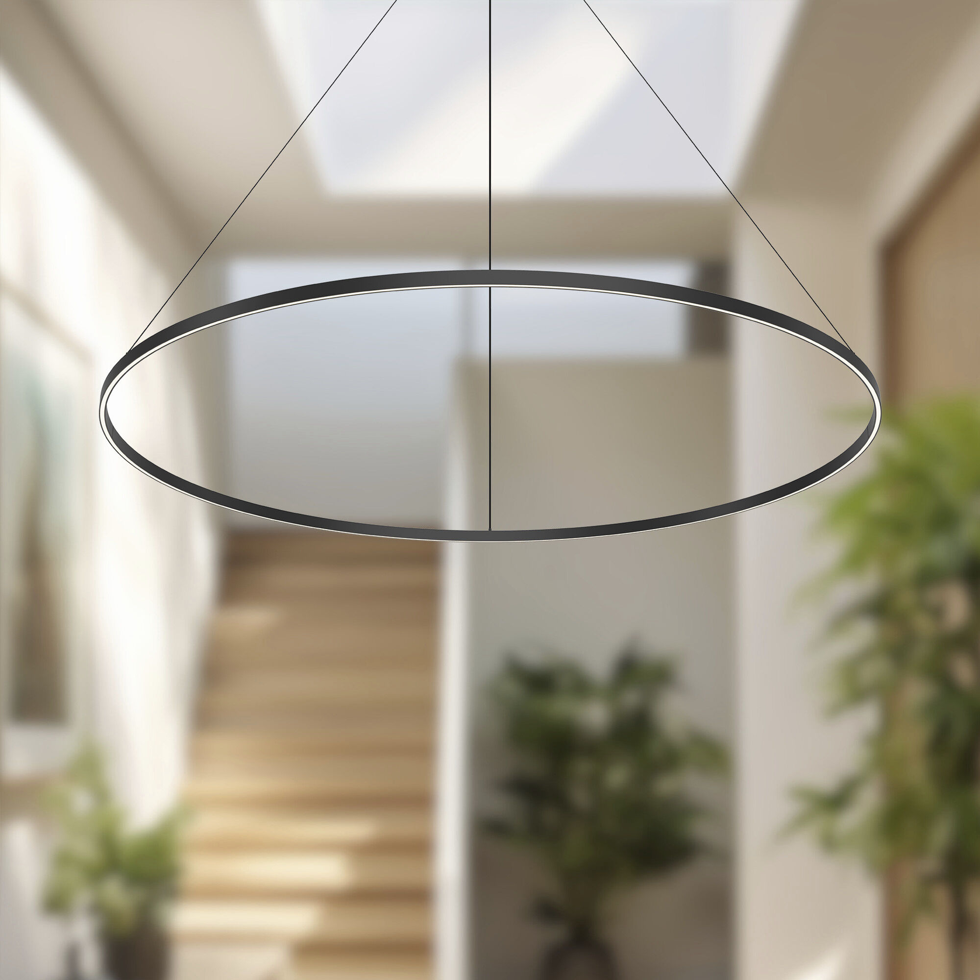 Cerchio Pendant Ceiling Light in Black
