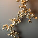 Coral Sconce Wall Light in Modern Brass