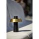 Pirlo 11.75 inch 4.00 watt Black with Antique Brass Accents Cordless Table Lamp Portable Light, ADS360