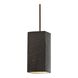Radiance Collection LED 5.5 inch Hammered Iron with Matte Black Pendant Ceiling Light