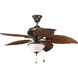 Ashmore 2 Light Antique Bronze Fan Light Kit