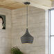 Waldorf 1 Light 9.5 inch Bronze with Antique Brass Finish Accents Pendant Ceiling Light in Bronze with Antique Brass Accent