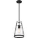 Farmhouse 1 Light 11.5 inch Matte Black Outdoor Hanging Lantern