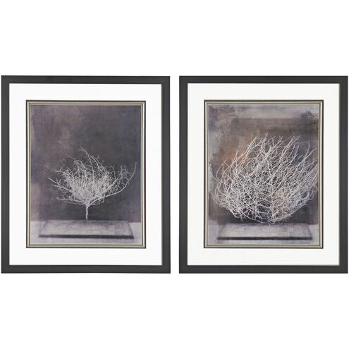 Desert Form Aged Black with Clear and Black Framed Wall Art