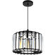 Alethia 1 Light 10 inch Black Drum Shade Pendant Ceiling Light