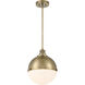 Vorey 1 Light 13.00 inch Pendant