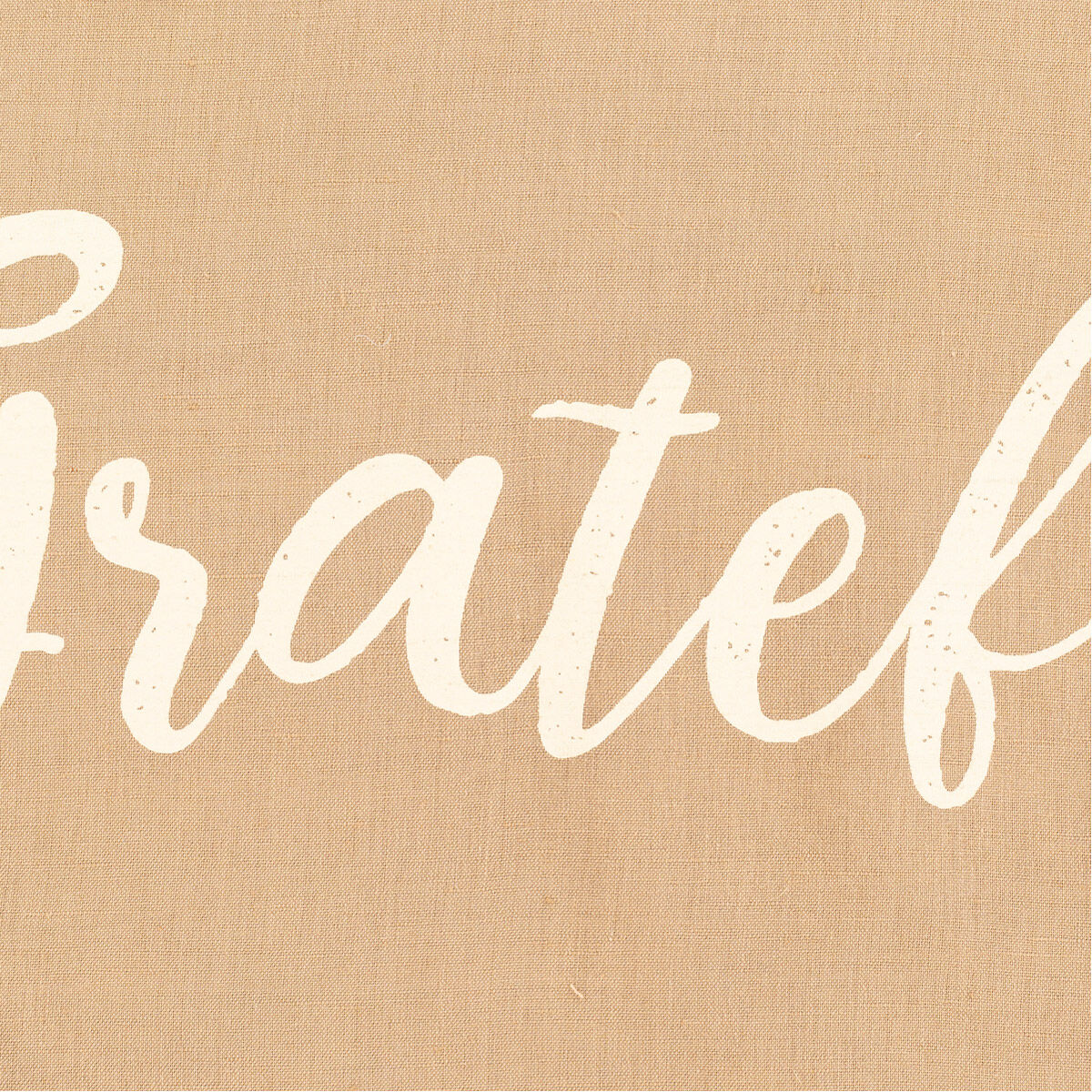 Blessings 20 X 13 inch Tan/Butter Pillow Kit, Lumbar