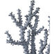 Blue Coral 12.25 X 10.75 inch Sculptures, Set of 2