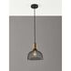 Dale 1 Light 10 inch Matte Black and Natural Rubber Wood Pendant Ceiling Light, Small