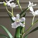 Clovis White and Green Orchid Drop-In