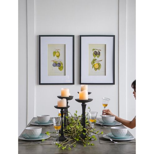 Smithsonian Black and Green/Yellow Wall Art, Assorted Fruit