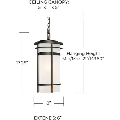 Lakeshore 1 Light 8 inch Old Bronze Outdoor Hanging Lantern