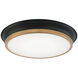Jaxx LED 15 inch Black and Aged Gold Brass Flush Mount Ceiling Light