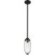 Arden 1 Light 4.5 inch Matte Black Pendant Ceiling Light