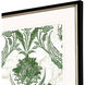 Florals Collection Green Framed Art