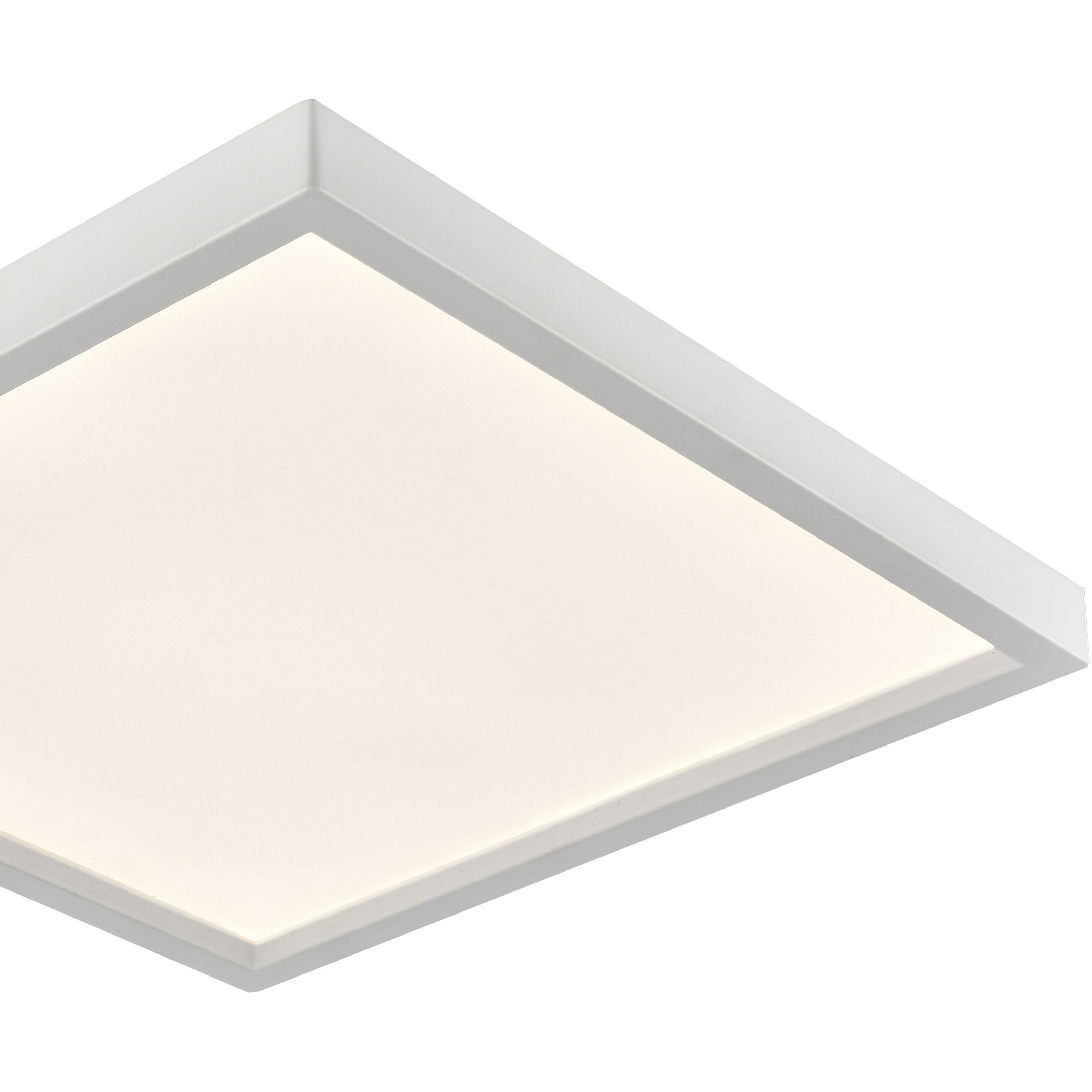 Titan Integrated LED White Down Light