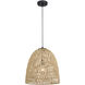 Nassau LED 14 inch Matte Black Pendant Ceiling Light