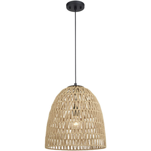 Nassau LED 14 inch Matte Black Pendant Ceiling Light