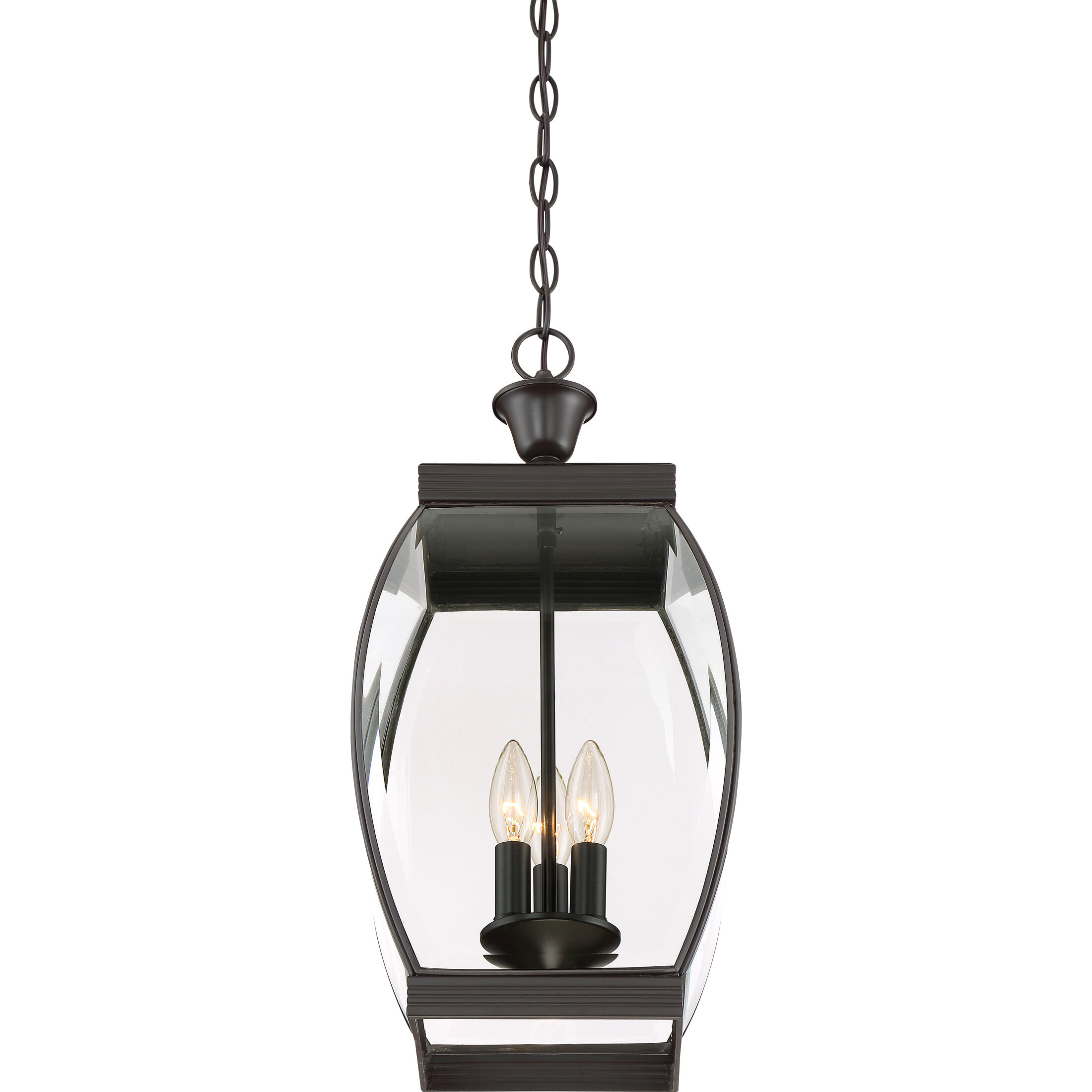 Oasis 3 Light 9 inch Medici Bronze Outdoor Hanging Lantern