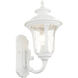 Oxford 1 Light 16 inch Textured White Outdoor Wall Lantern