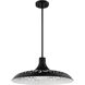 Pocco 1 Light 21.25 inch Flat Black Pendant Ceiling Light