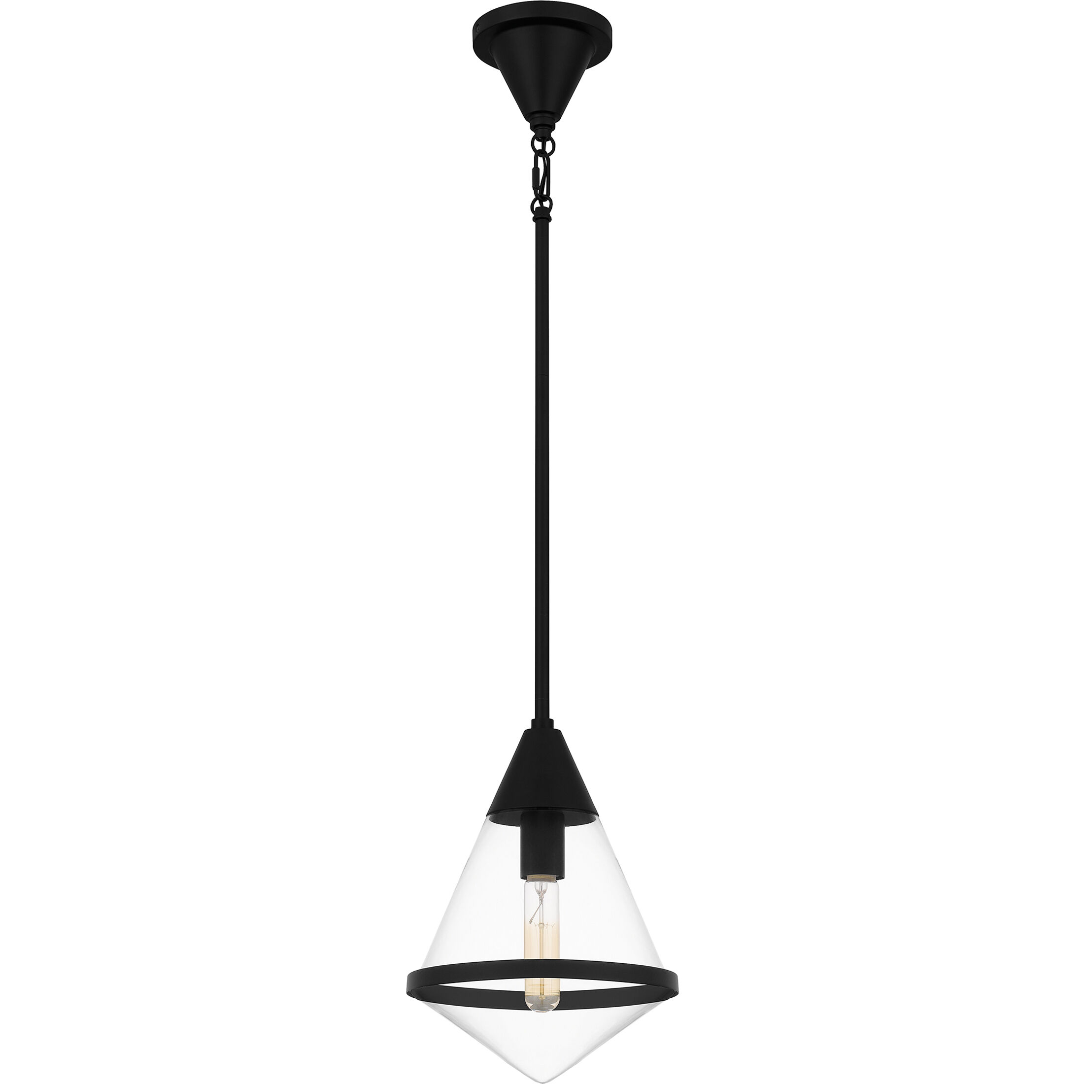 Hidalgo 1 Light 9.5 inch Matte Black Mini Pendant Ceiling Light