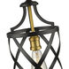 Malcalester 1 Light 8 inch Matte Black and Olde Brass Pendant Ceiling Light