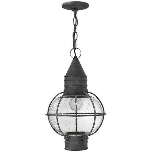 Cape Cod 1 Light 11.00 inch Outdoor Pendant/Chandelier