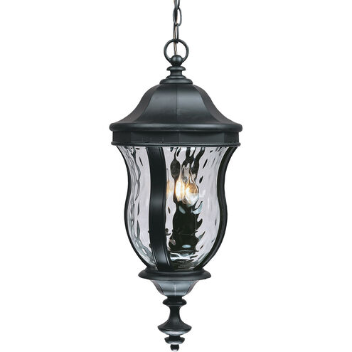 Monticello 3 Light 10 inch Black Outdoor Hanging Lantern