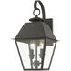 Wentworth 2 Light 9 inch Charcoal Outdoor Medium Wall Lantern Wall Light, Medium
