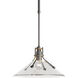 Henry 1 Light 14.4 inch Natural Iron Outdoor Pendant in Clear, Medium