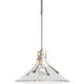 Henry 1 Light 14.4 inch Coastal Burnished Steel Outdoor Pendant, Medium