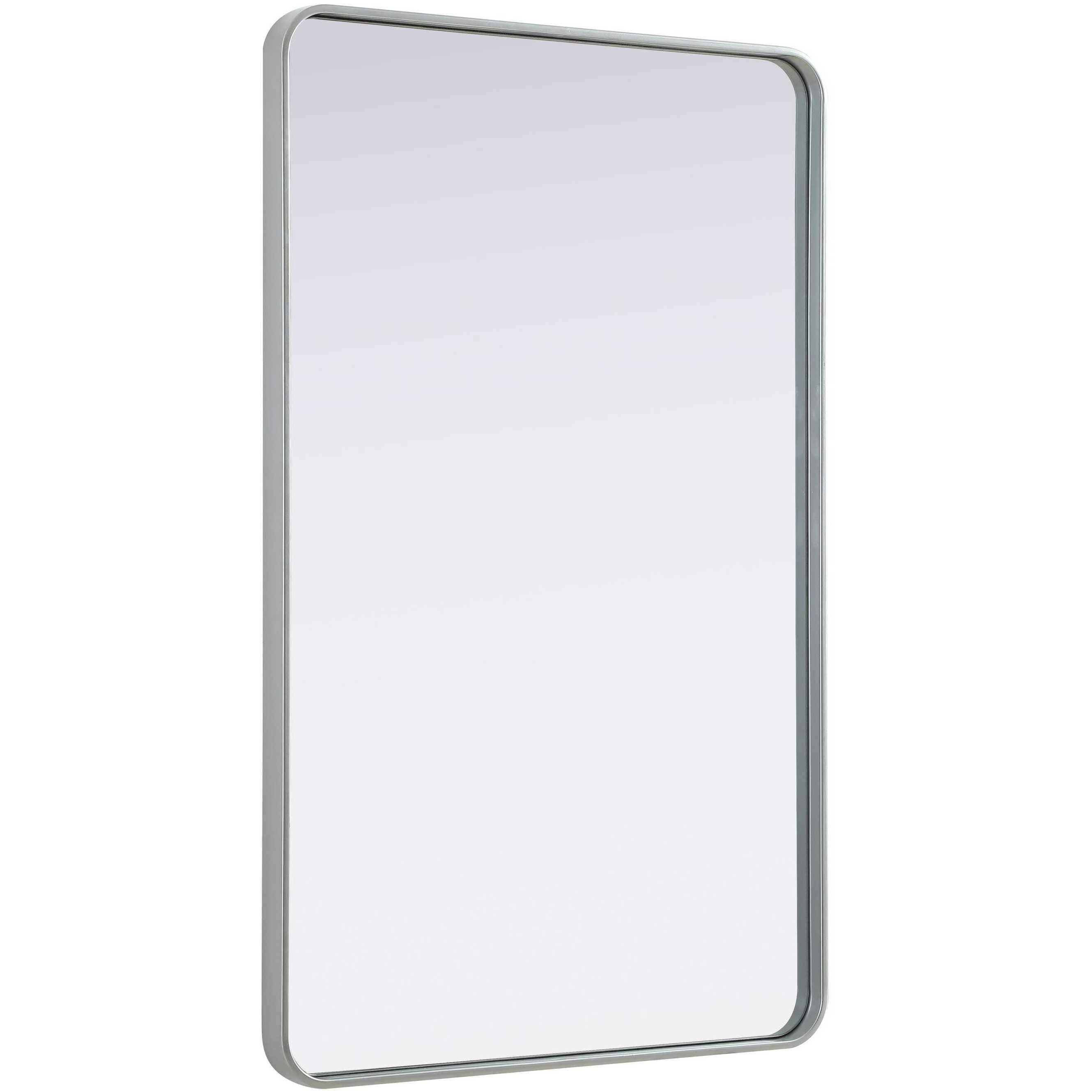 Remy 48 X 30 inch Silver Mirror